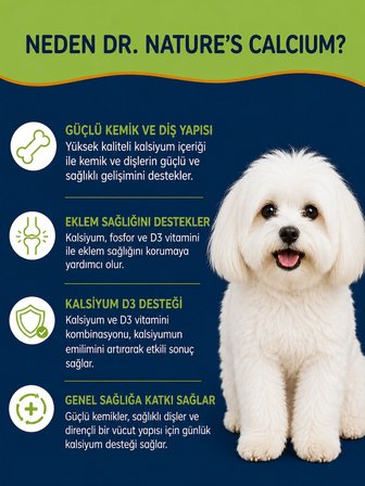 Köpek Kalsiyum Tablet 75 Tablet – Kemik ve Diş Gelişimi Destekleyici D3 & Magnezyum
