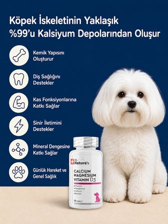 Köpek Kalsiyum Tablet 75 Tablet – Kemik ve Diş Gelişimi Destekleyici D3 & Magnezyum
