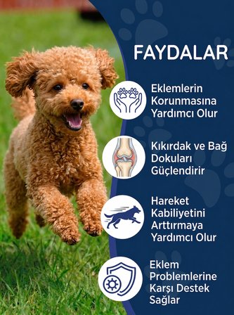 Köpek Glukozamin 75 Tablet – Eklem Destekleyici MSM Kondroitin İçeren Hareket ve Kıkırdak Desteği