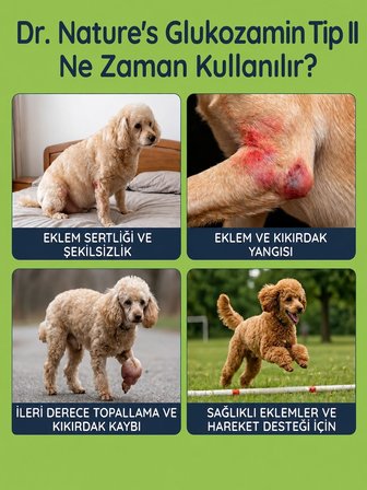 Köpek Glukozamin 300 Tablet Eklem Destekleyici MSM Kondroitin İçeren Hareket ve Kıkırdak Desteği