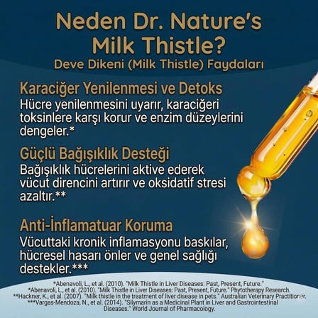 Köpek Milk Thistle ( Devedikeni) Damla 50 ml Silymarin ve Beta Glukan İçeren Karaciğer Bakım Desteği