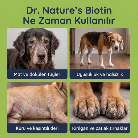 Köpek Biotin Damla 50 ml Sıvı Deri ve Tüy Sağlığı Desteği Tüy Dökülmesi Karşıtı Parlatıcı Likit Vitamin Takviyesi