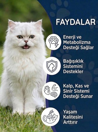 Kedi Multivitamin Likit 50 ml – Taurin ve Omega-3 İçeren Günlük Vitamin Desteği