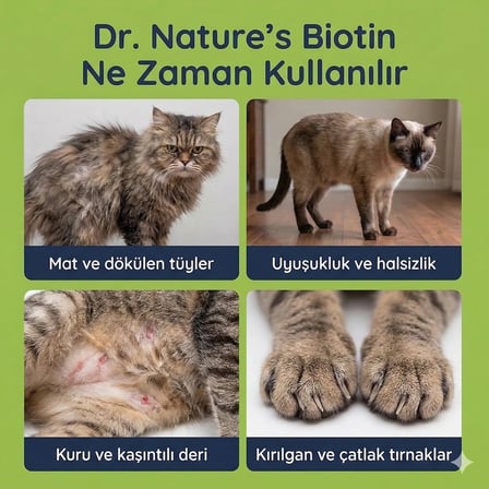 Kedi Tüy Damlası 50 ml – Biotin ve Çinko İçeren Sıvı Deri & Tüy Vitamini