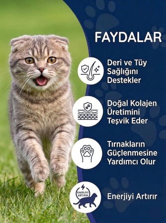 Kedi Tüy Damlası 50 ml – Biotin ve Çinko İçeren Sıvı Deri & Tüy Vitamini