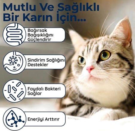 Kedi Probiyotik Damla 50 ml – Canlı Probiyotik İçeren Sindirim Desteği