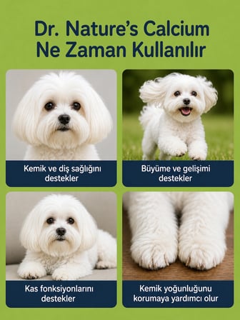 Köpek Kalsiyum Tablet 300 Tablet – Kemik ve Diş Gelişimi Destekleyici D3 & Magnezyum