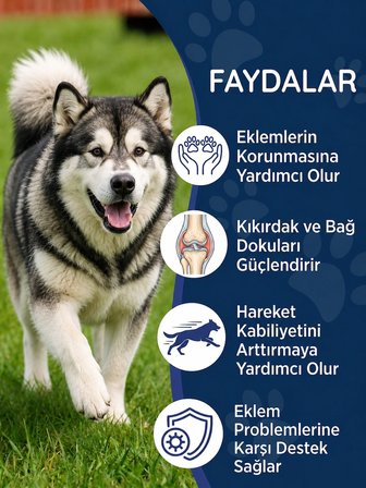 Köpek Multivitamin Immune 300 Tablet – Bağışıklık Sistemi Destekleyici Destek