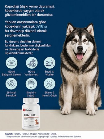 Köpek Multivitamin Immune 300 Tablet – Bağışıklık Sistemi Destekleyici Destek