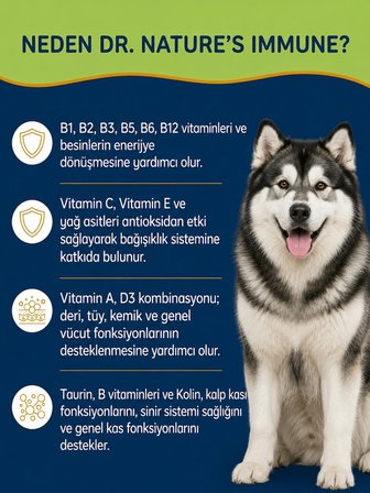 Köpek Multivitamin Immune 300 Tablet – Bağışıklık Sistemi Destekleyici Destek