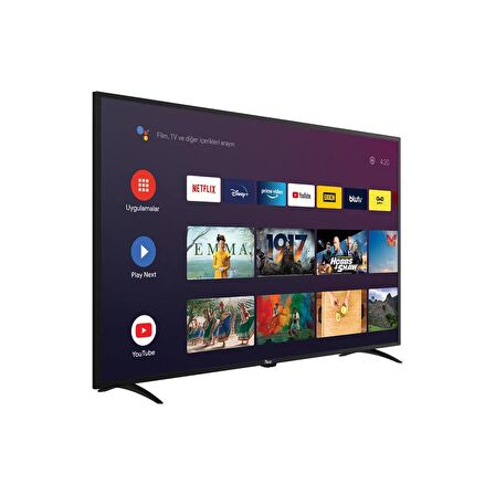 YE-43020GG4 43" 109 Ekran Full HD Google Android TV