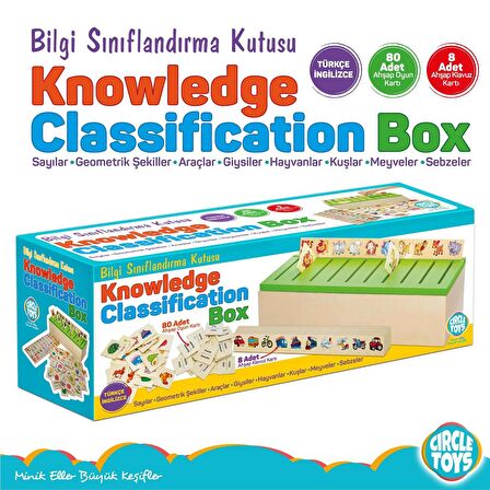 Circle Toys Ahşap Bilgi Sınıflandırma Kutusu