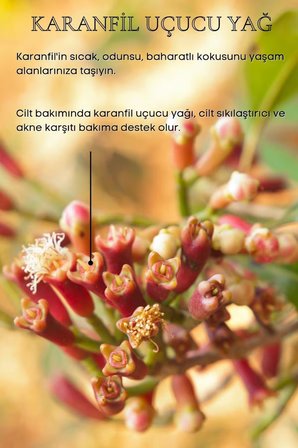 Bade Natural Karanfil Uçucu Yağı 10 ml