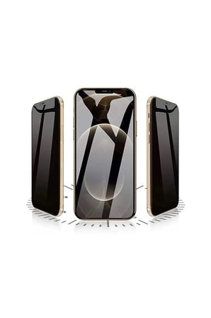 Logis Samsung Galaxy S24 Plus ile Uyumlu Hayalet Ekran Koruyucu