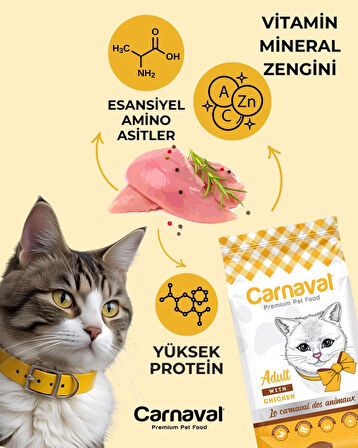 Carnaval Premium Yetişkin Kedi Maması Tavuklu 15+1 Kg 