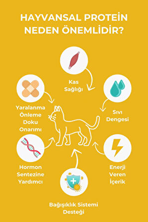 Carnaval Premium Yetişkin Kedi Maması Tavuklu 15+1 Kg 