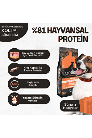 Super Premium Kaliteli Somonlu Yetişkin Köpek Maması 12 Kg