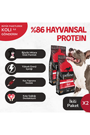 Sport Kuzu Etli Yetişkin Köpek Maması Yüksek Enerji 24kg (2 X 12KG) - Sport