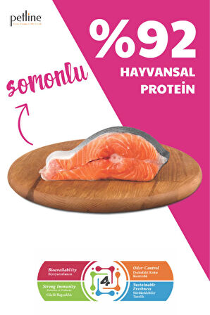 Özel Geliştirilmiş Kaliteli Somonlu Kısırlaştırılmış Kedi Maması 10 Kg
