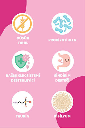 Özel Geliştirilmiş Kaliteli Somonlu Kısırlaştırılmış Kedi Maması 10 Kg