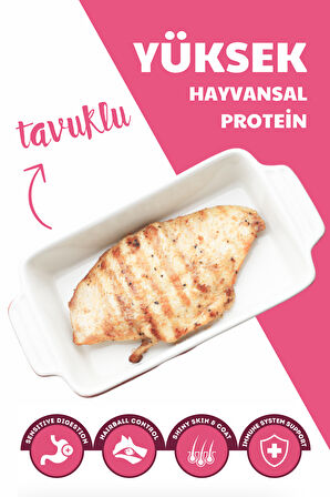 Carnaval Kitten Tavuklu Yavru Kedi Maması 3Kg (2x1.5Kg)