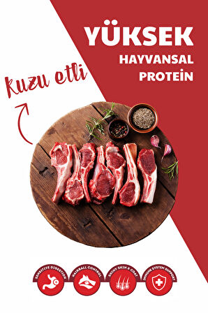 Carnaval Kuzu Etli Yetişkin Kedi Maması 3Kg (2x1.5Kg)