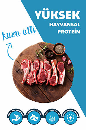 Carnaval Puppy Kuzu Etli Yavru Köpek Maması 6Kg (2x3Kg)