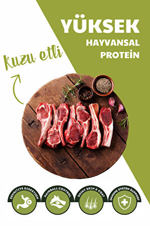 Carnaval Lamb Adult Kuzu Etli Yetişkin Köpek Maması 9Kg (3x3Kg)