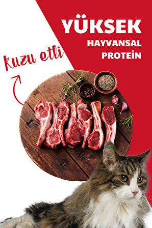 HerbaMax Kuzu Etli ve Pirinçli Yetişkin Kedi Maması 20Kg (2x10Kg)