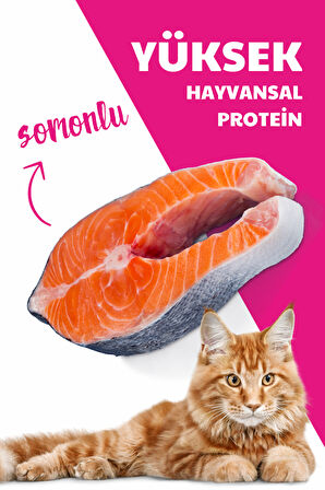 HerbaMax Sterilised Kısırlaştırılmış Somonlu ve Pirinçli Yetişkin Kedi Maması 20Kg (2x10Kg)