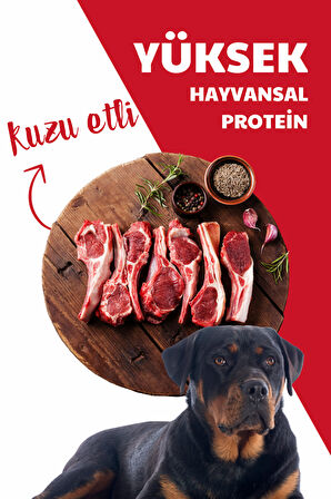 HerbaMax Kuzu Etli ve Pirinçli Yetişkin Köpek Maması 20Kg (2x10Kg)