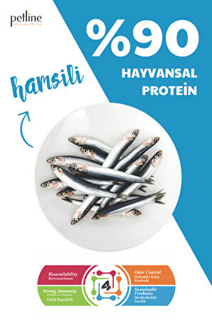 Petline Anchovy Hamsili Balıklı Yetişkin Kedi Maması 3Kg (2x1.5Kg)