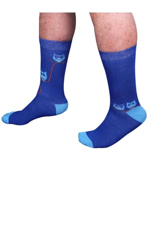 TheSocksCompany Wise Birds Erkek Çorap