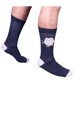 TheSocksCompany Hello Penguin Erkek Çorap