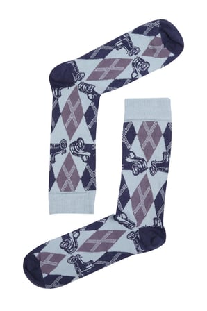 TheSocksCompany Cargyle Erkek Çorap