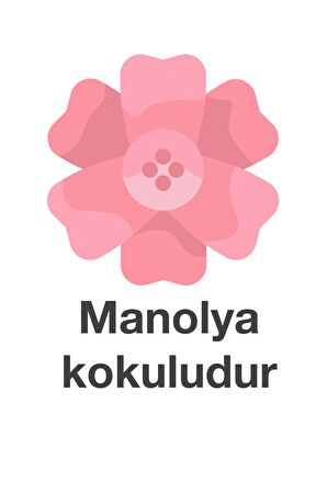 Deep Fresh Maxi Pack Manolya Alkolsüz 144 Yaprak 1 Paket Islak Mendil