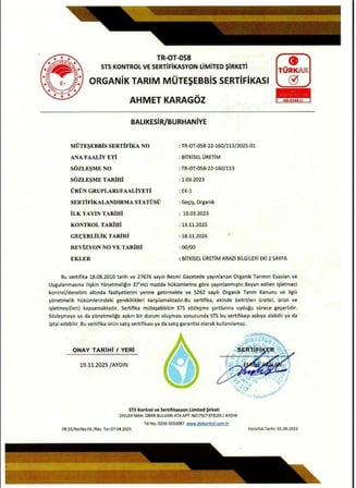 2026/27 5 LT Erken Hasat Natürel Sızma Zeytinyağı Soğuk Sıkım Filtresiz