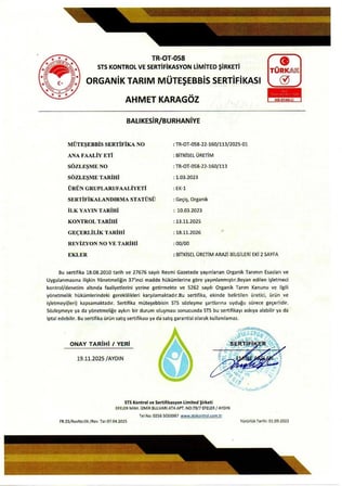  5 LT Natürel Sızma Zeytinyağı (2026/27) Soğuk Sıkım Filtresiz