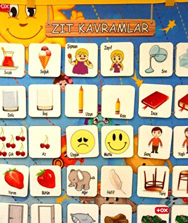 2 Set - 62 Parça Tox İç Organlar ve Zıt Kavramlar Keçe Cırtlı Duvar Panoları , Eğitici Oyuncak