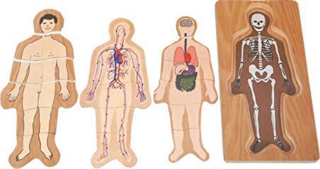 Edutoys Yaşam Çocuk Puzzle