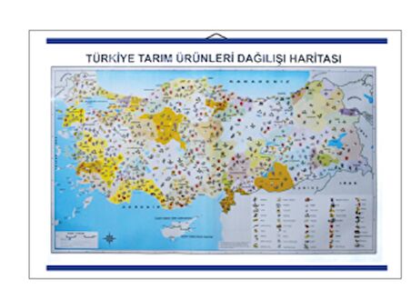 TÜRKİYE TARIM ÜRÜNLERİ DAĞILIŞ HARİTASI85X135 CM