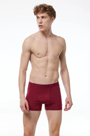 Erkek Beyaz 3 lü Pamuk Elastan Boxer 3M075