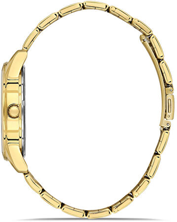 DAVİD GÜNER ERKEK KOL SAATİ DG-8754GA-B10