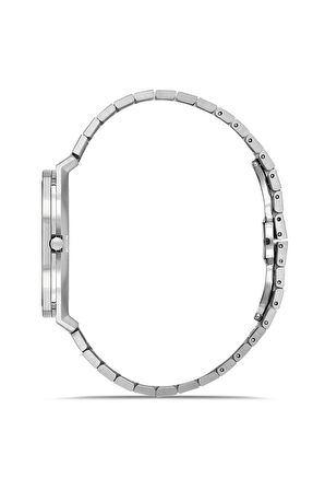 RMS Zeitmeister RMS.1.AG1612.01 Kristal Camlı Çelik Kordon Çelik Kasa 5 ATM Suya Dayanıklı Metalik Renk Erkek Kol Saati