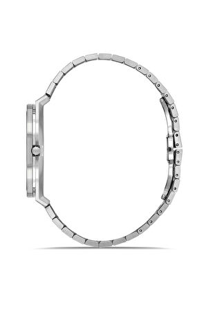 RMS Zeitmeister RMS.1.AG1612.06 Kristal Camlı Çelik Kordon Çelik Kasa 5 ATM Suya Dayanıklı Metalik Renk Erkek Kol Saati