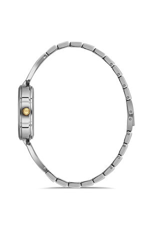 Dice Kayek DK.1.AG1414.03 Minimal Tasarım 5 Atm Suya Dayanıklı Metalik Renk Kadın Kol Saati