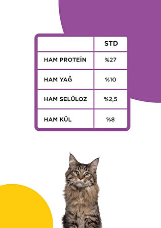 Econature Gurme Yetişkin Kedi Maması 15 Kg