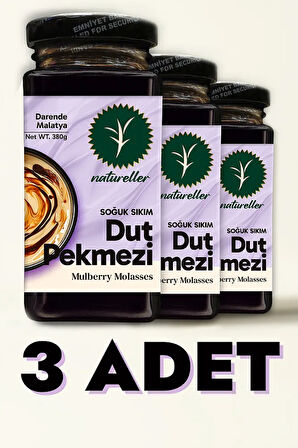 Dut Pekmezi Soğuk Sıkım Malatya - 380 gr (3 Adet)