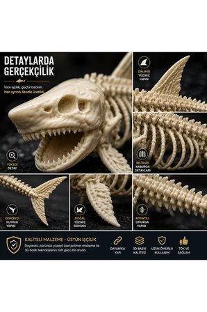 3D Köpekbalığı İskeleti Fosil Görünümlü Akvaryum Dekoru Ve Masaüstü Süs Figürü Kemik Rengi