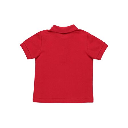 Panço Erkek Bebek Basic Pike T-Shirt